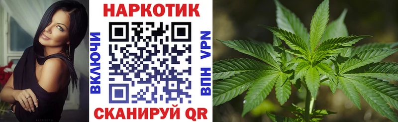 A PVP Выборг