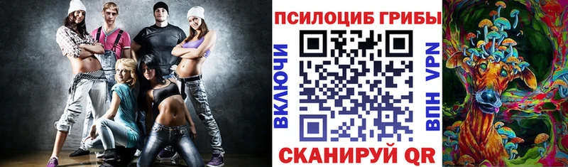 это какой сайт Выборг Галлюциногенные грибы Psilocybine cubensis