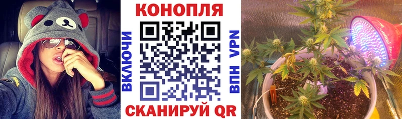 мега как зайти  Выборг  Каннабис SATIVA & INDICA  продажа наркотиков 